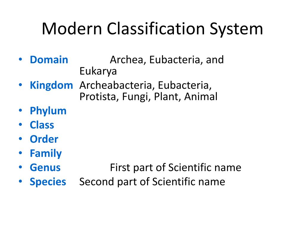 PPT Classification PowerPoint Presentation, free download ID7003339