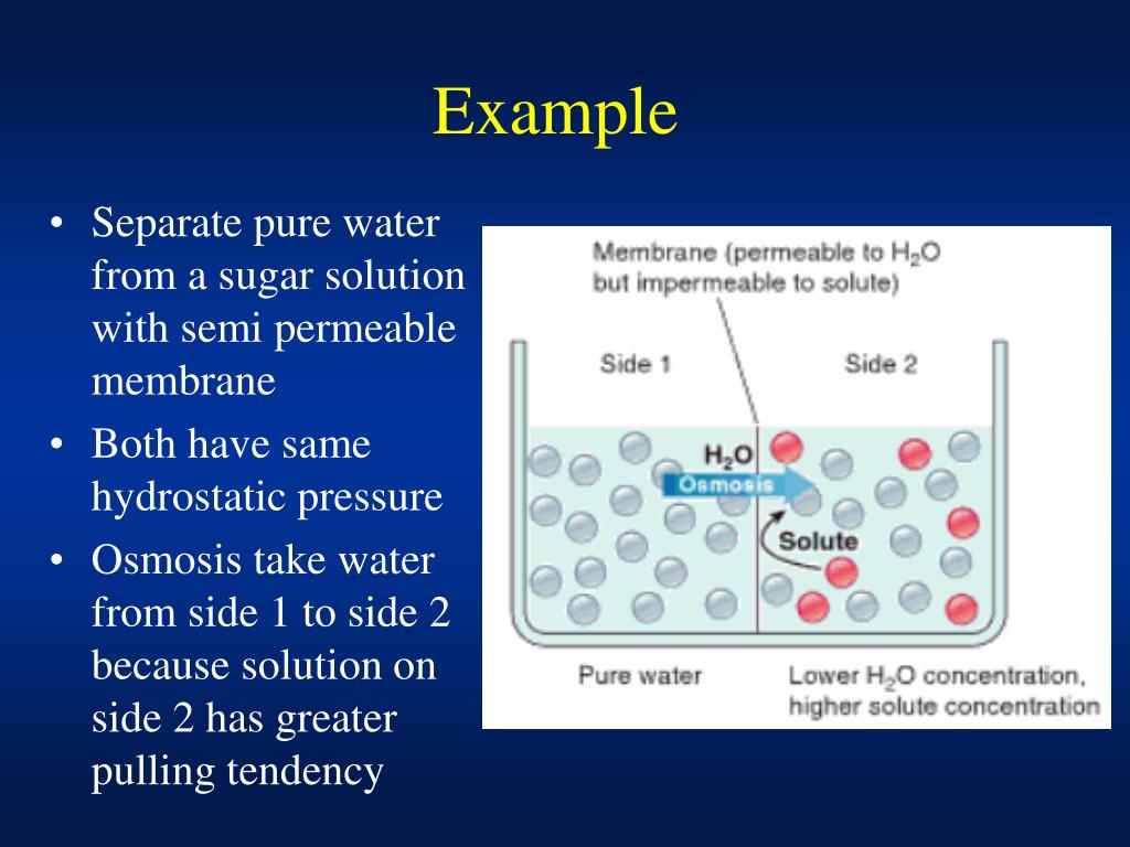 PPT Diffusion, Osmosis and Osmotic Pressure PowerPoint Presentation