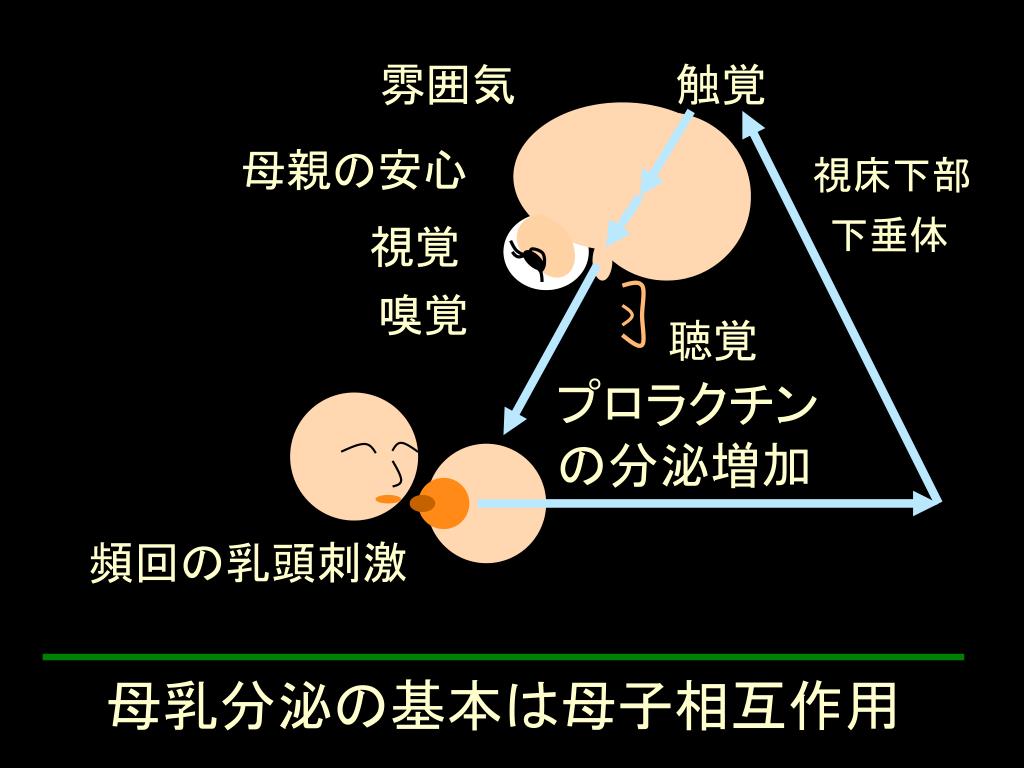 PPT 赤ちゃんからのメッセージ PowerPoint Presentation, free download ID7004023