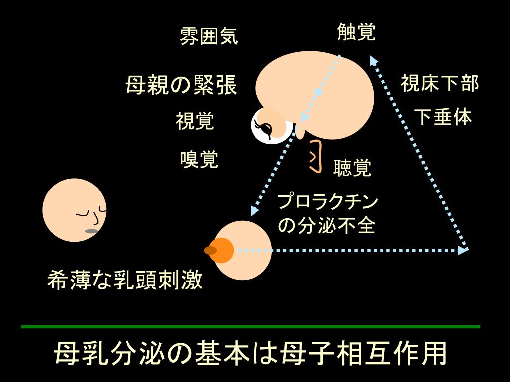 PPT 赤ちゃんからのメッセージ PowerPoint Presentation, free download ID7004023