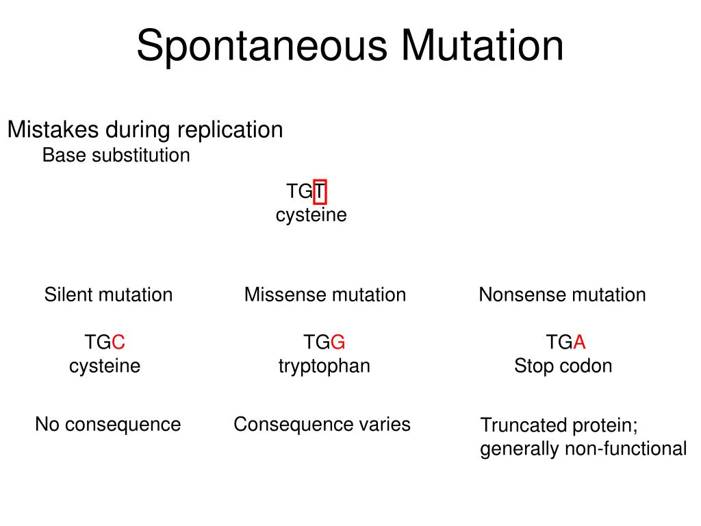 PPT Bacterial PowerPoint Presentation, free download ID7004886