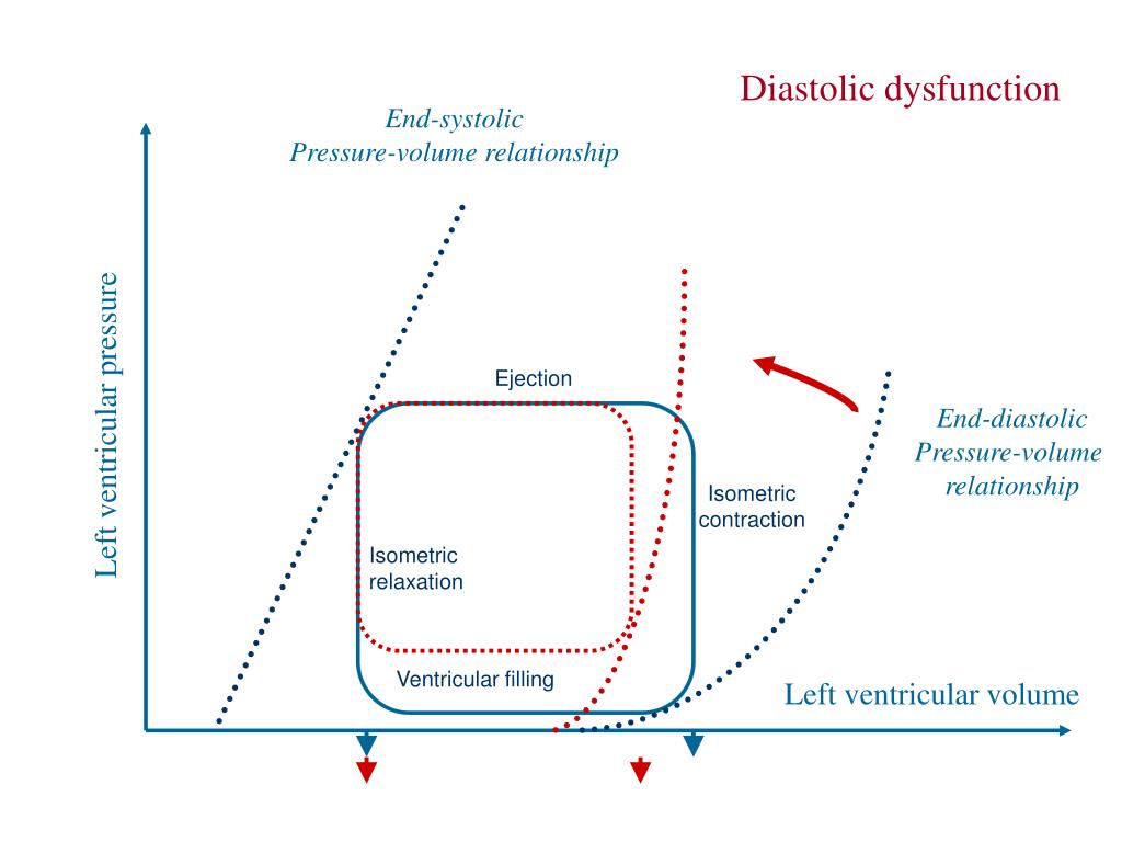 PPT Applied physiology II. Circulation, haemodynamic