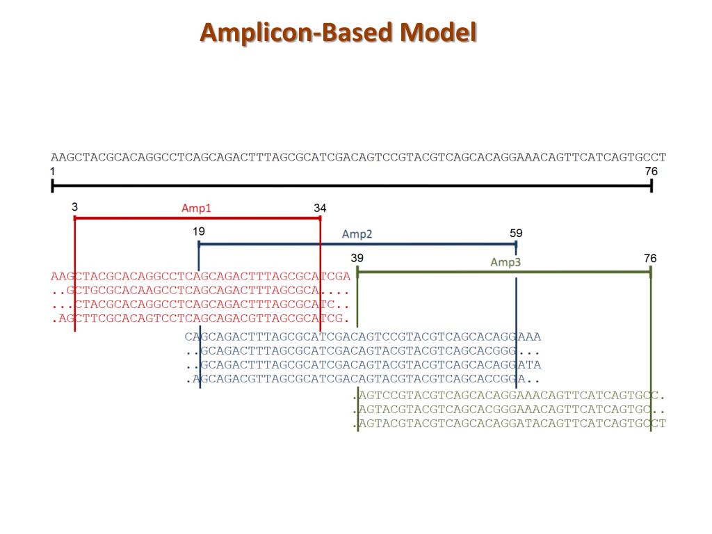 PPT Amplicon Based Quasipecies Assembly Using Next Generation Sequencing PowerPoint