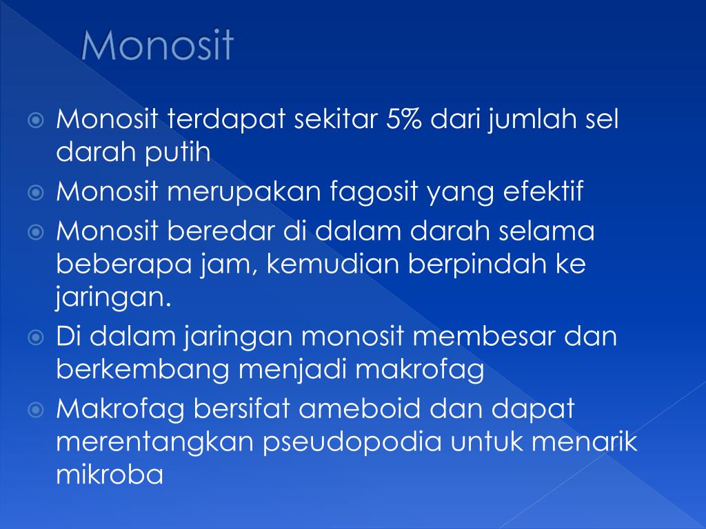 PPT SISTEM PEREDARAN DARAH MANUSIA PowerPoint Presentation, free
