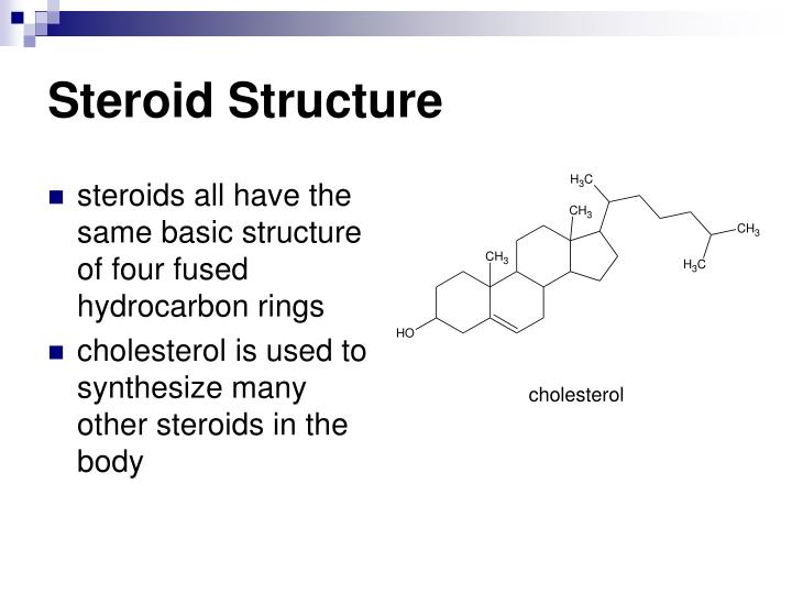 PPT Macromolecules PowerPoint Presentation ID7025299