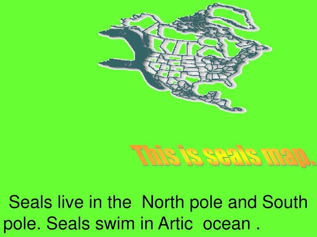 PPT Life cycle of seal PowerPoint Presentation, free download ID