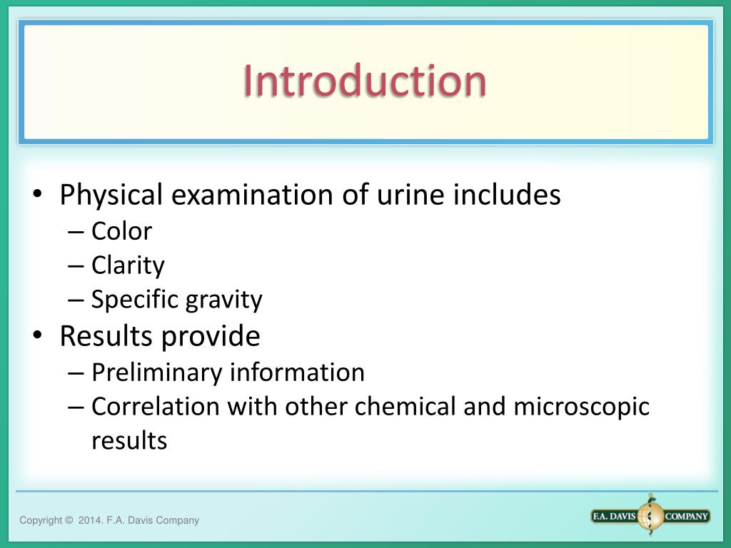 PPT PHYSICAL EXAMINATION OF URINE PowerPoint Presentation, free download ID7036624