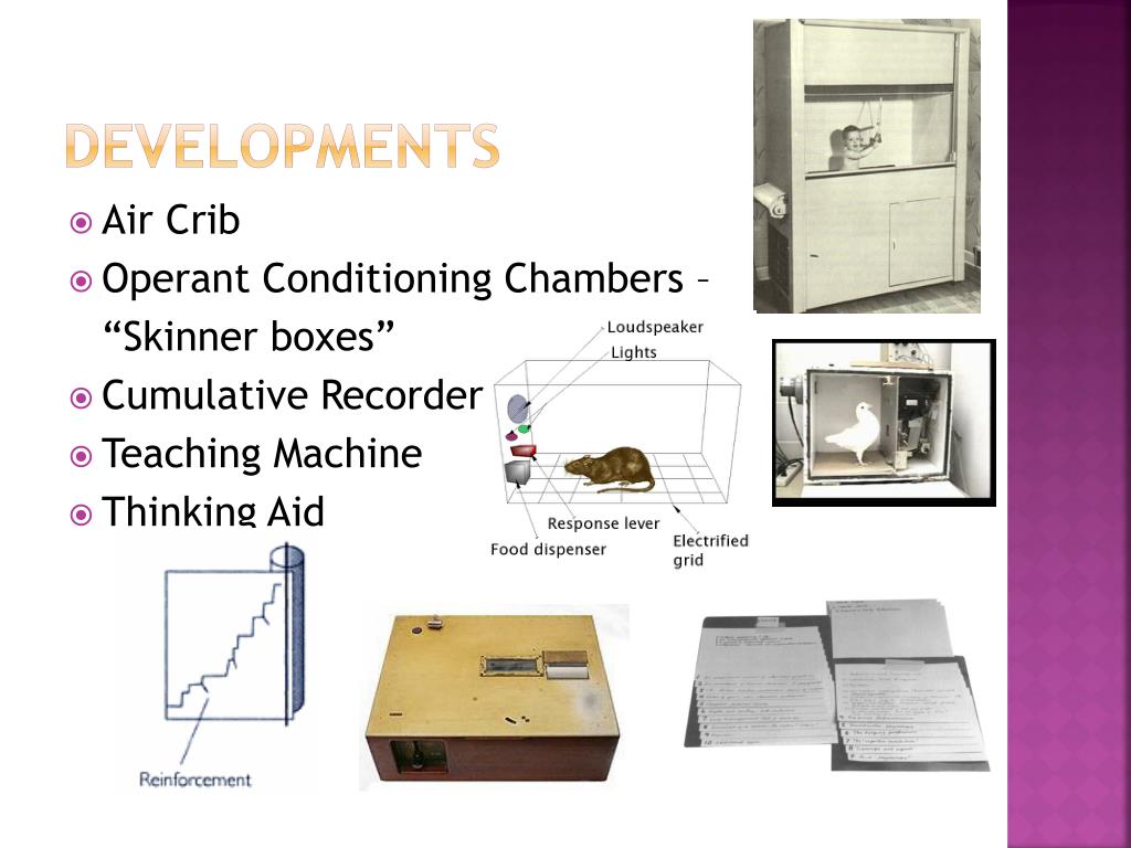 PPT B.F. Skinner and Edward Thorndike PowerPoint Presentation, free