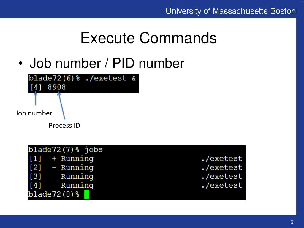 PPT Lecture 9 Bourne Shell ( ch 8) PowerPoint Presentation, free download ID7049318