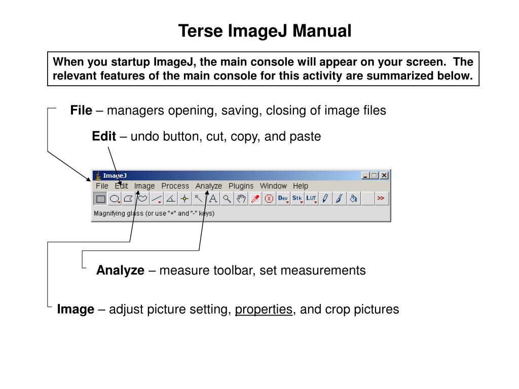 PPT Terse ImageJ Manual PowerPoint Presentation, free download ID