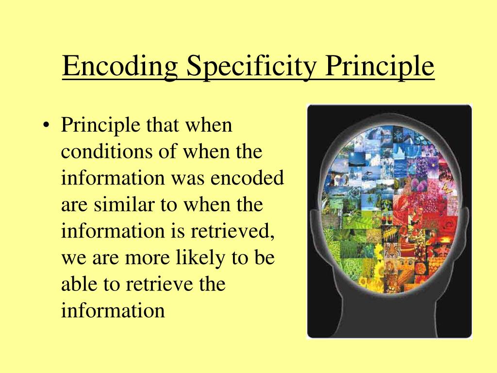 PPT Test Your Memory! PowerPoint Presentation, free download ID7049895