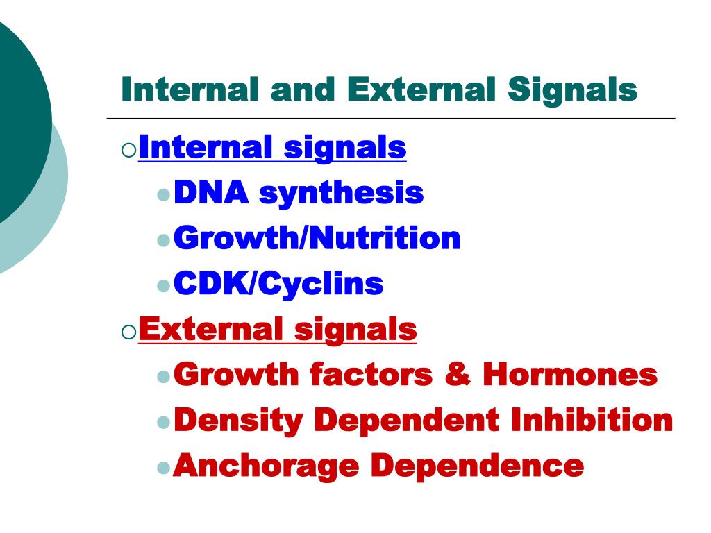 PPT Mitosis and Cancer PowerPoint Presentation, free download ID