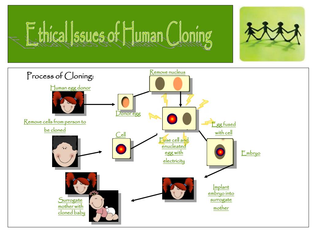 PPT Ethical Issues of Human Cloning PowerPoint Presentation, free