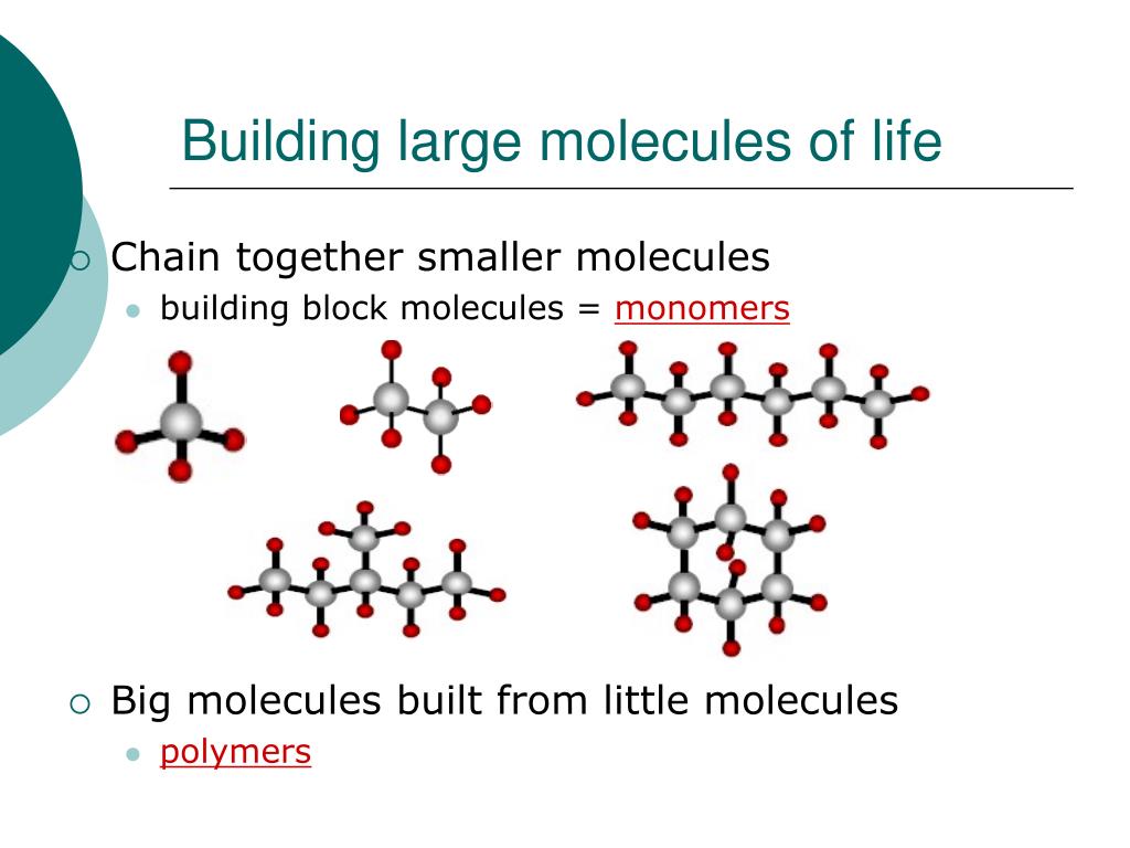 PPT BIOCHEMISTRY Biochemical processes are chemical reactions that
