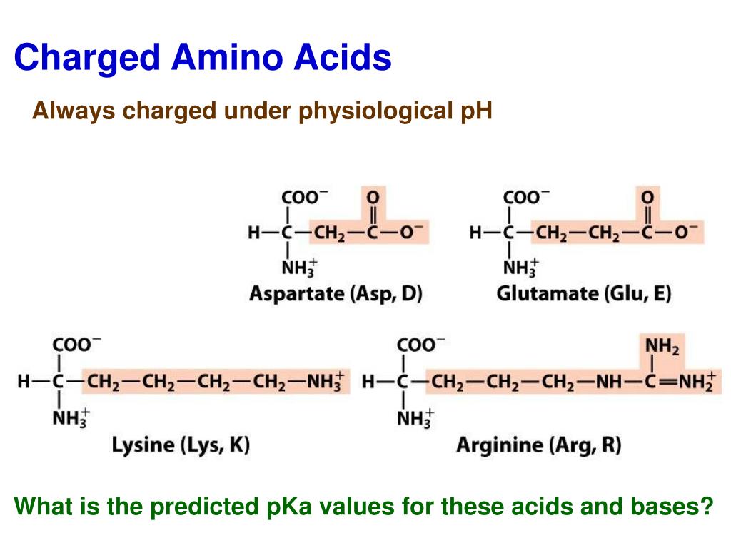 PPT Proteins Amino Acid Chains PowerPoint Presentation, free