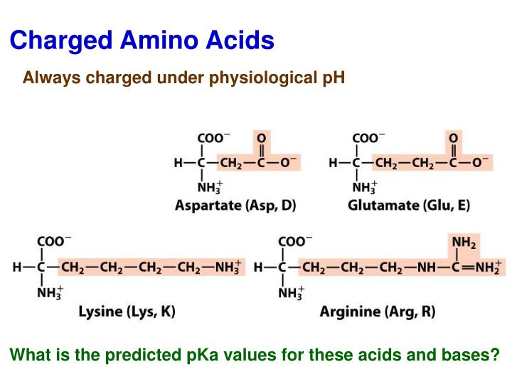 PPT Proteins Amino Acid Chains PowerPoint Presentation ID7053765