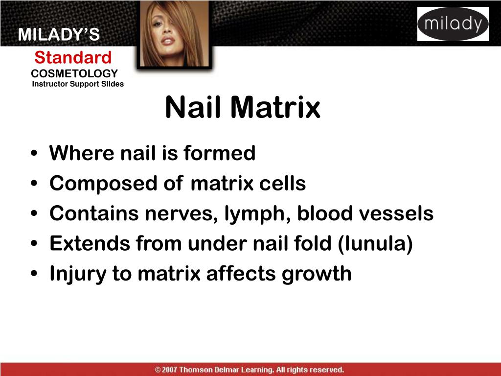 PPT Nail Structure and Growth PowerPoint Presentation, free download