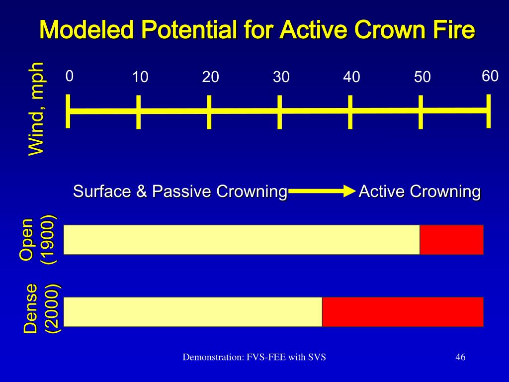 PPT Forest Change and Fire in Colorado’s Front Range PowerPoint