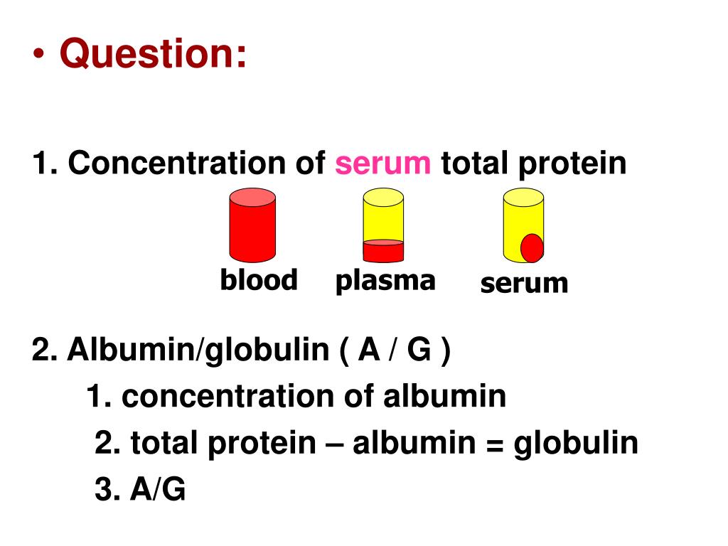 PPT Estimation of Serum Total Protein PowerPoint Presentation, free download ID7061655