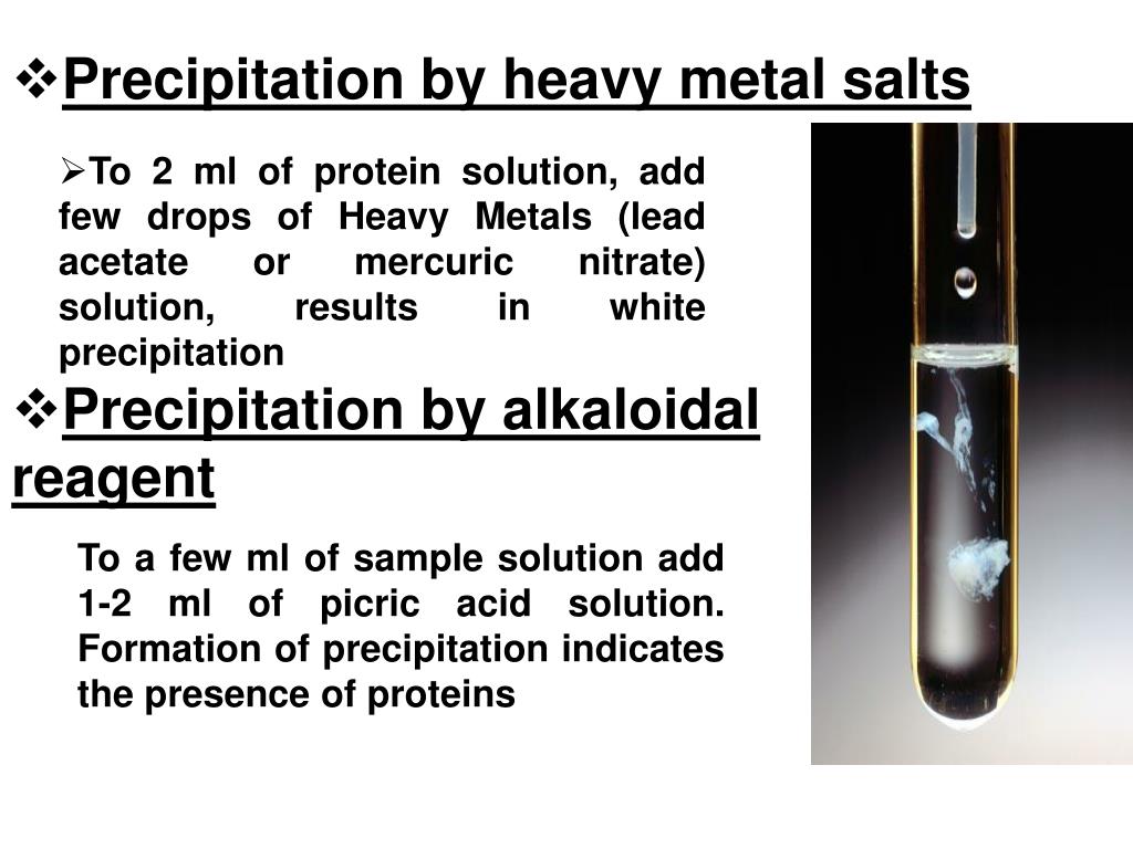 PPT Physicalchemical properties of proteins; methods of its