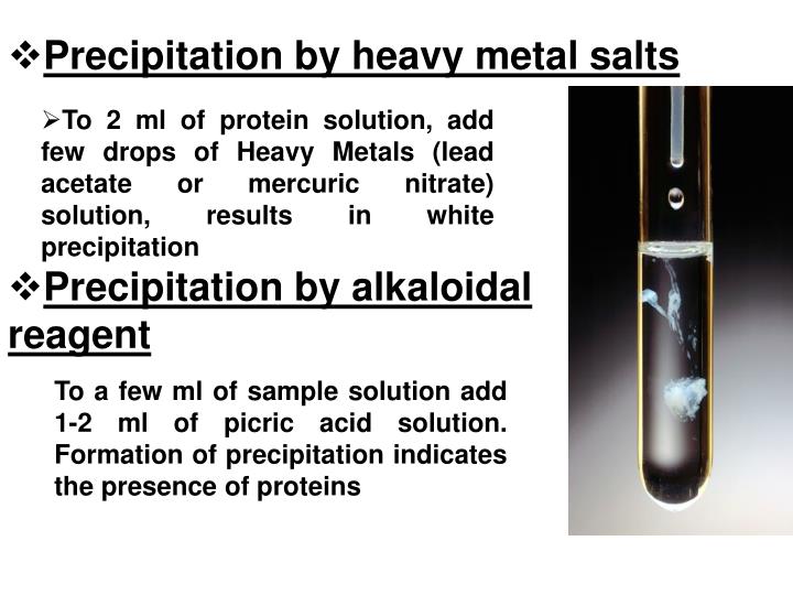 PPT Physicalchemical properties of proteins; methods of its