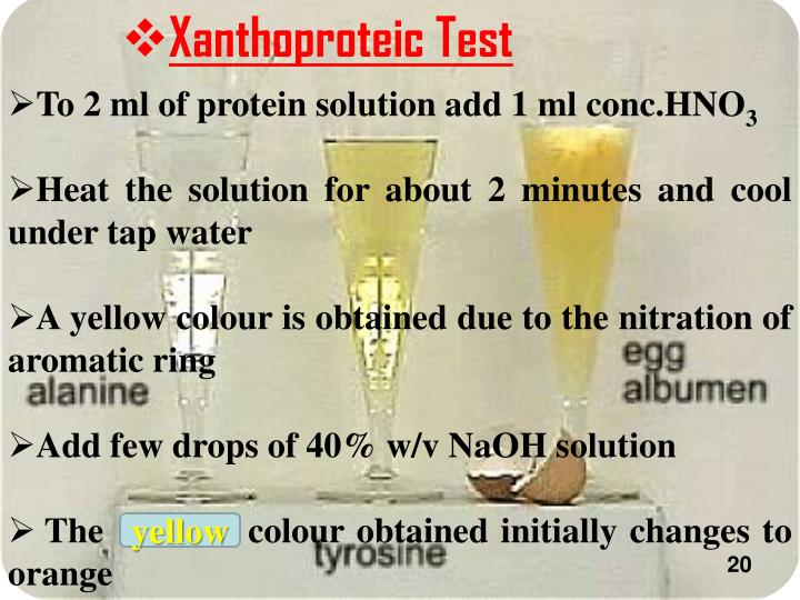 PPT Physicalchemical properties of proteins; methods of its
