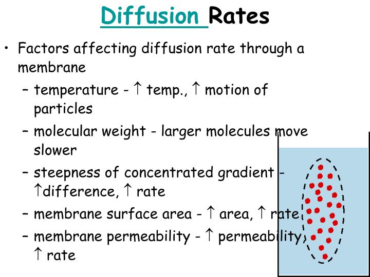 PPT The Cell Membrane PowerPoint Presentation ID7068362