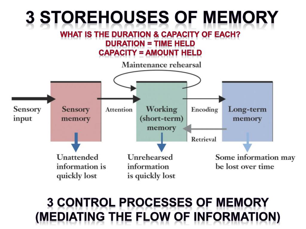 PPT False Memory PowerPoint Presentation, free download ID7069725