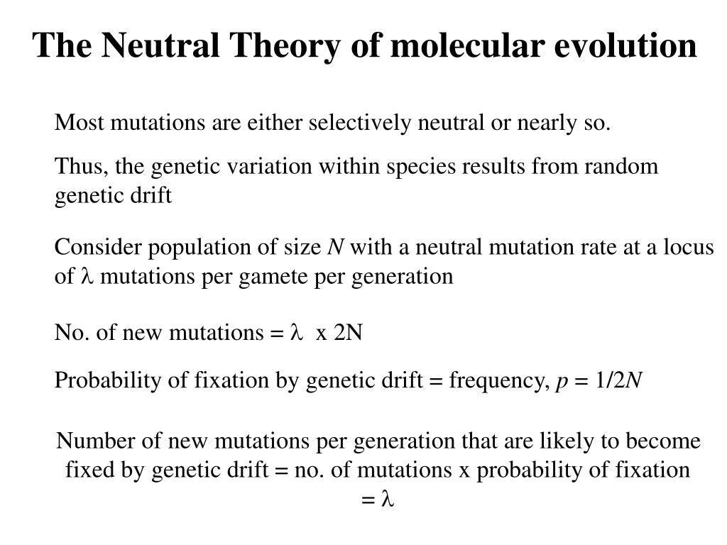 PPT Genes and Evolution Molecular clocks and phylogenies PowerPoint