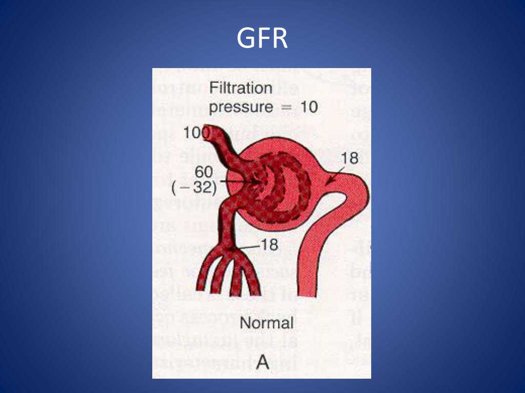 PPT GFR PowerPoint Presentation, free download ID7072263