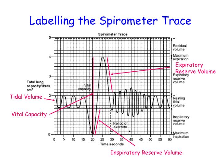 PPT AS Academic Tutorial 6 PowerPoint Presentation ID7075582