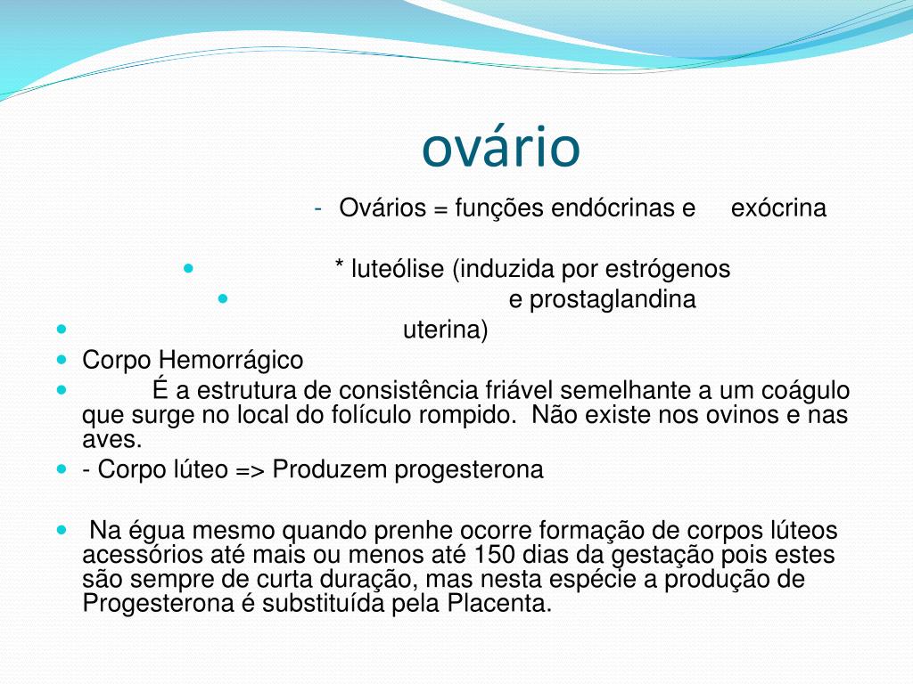 PPT Universidade federal do pampa PowerPoint Presentation ID7078818