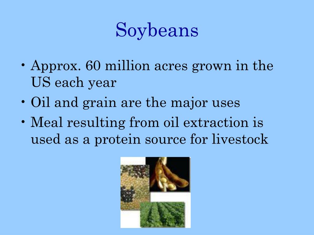 PPT Processing Grain Products PowerPoint Presentation, free download