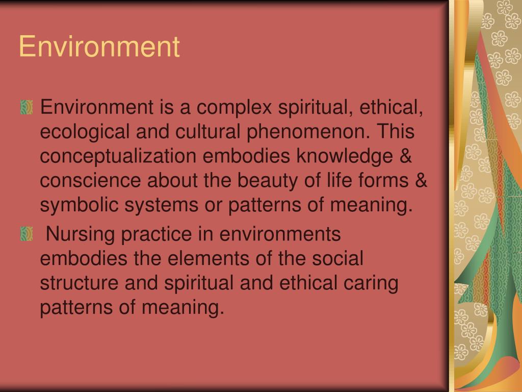 PPT Ray’s Theory of Bureaucratic Caring PowerPoint Presentation, free