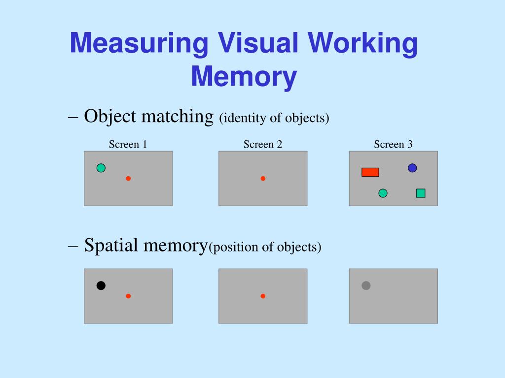 PPT Visual Working Memory PowerPoint Presentation, free download ID