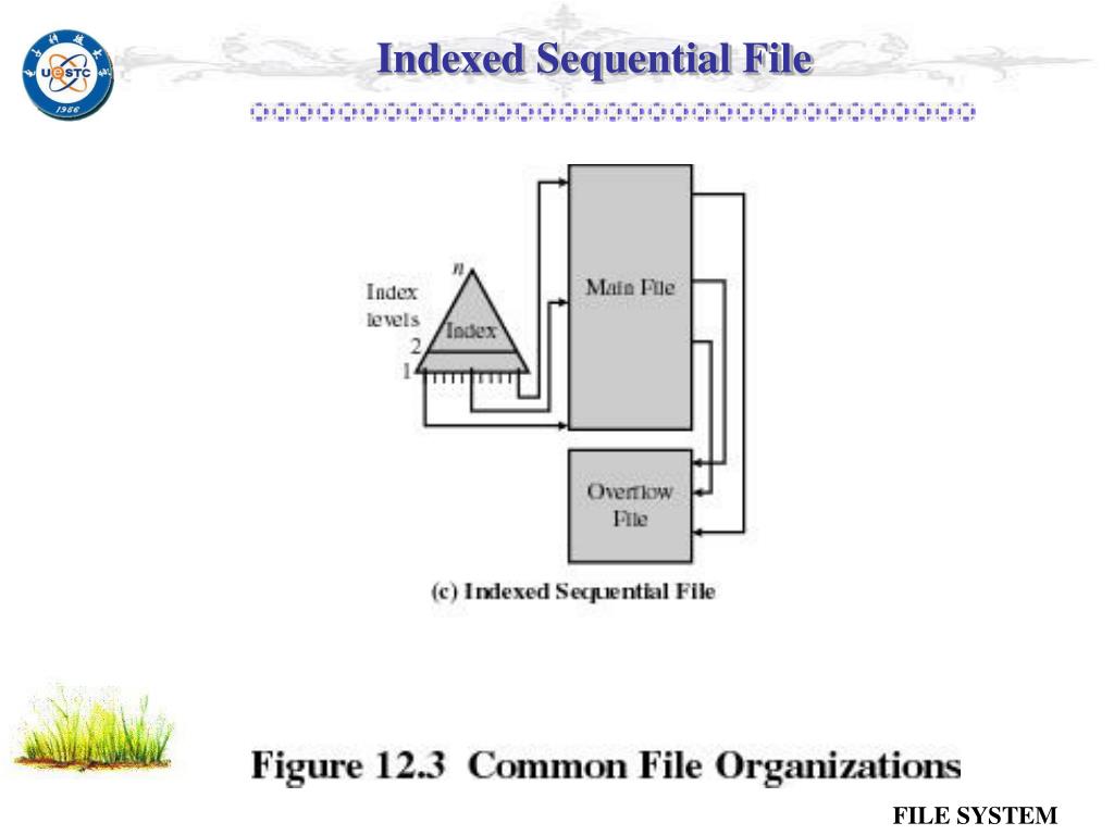 PPT Chapter 5 File Management PowerPoint Presentation, free download