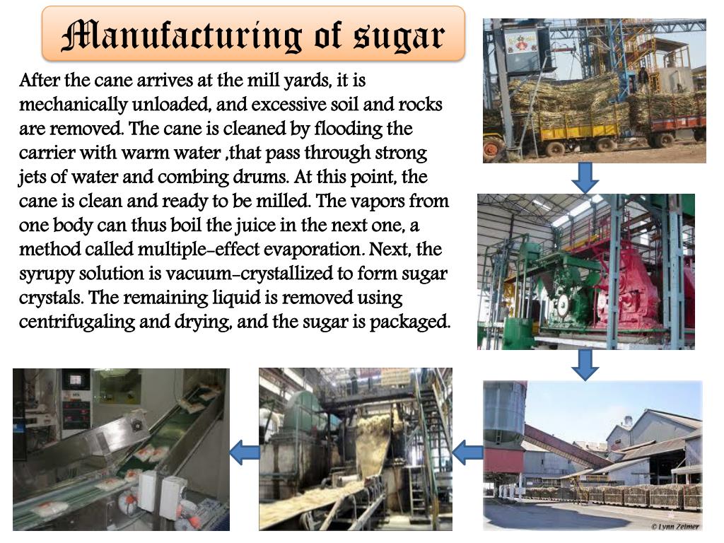 Sugar Industry Of India Largest Producer State Sugarc vrogue.co