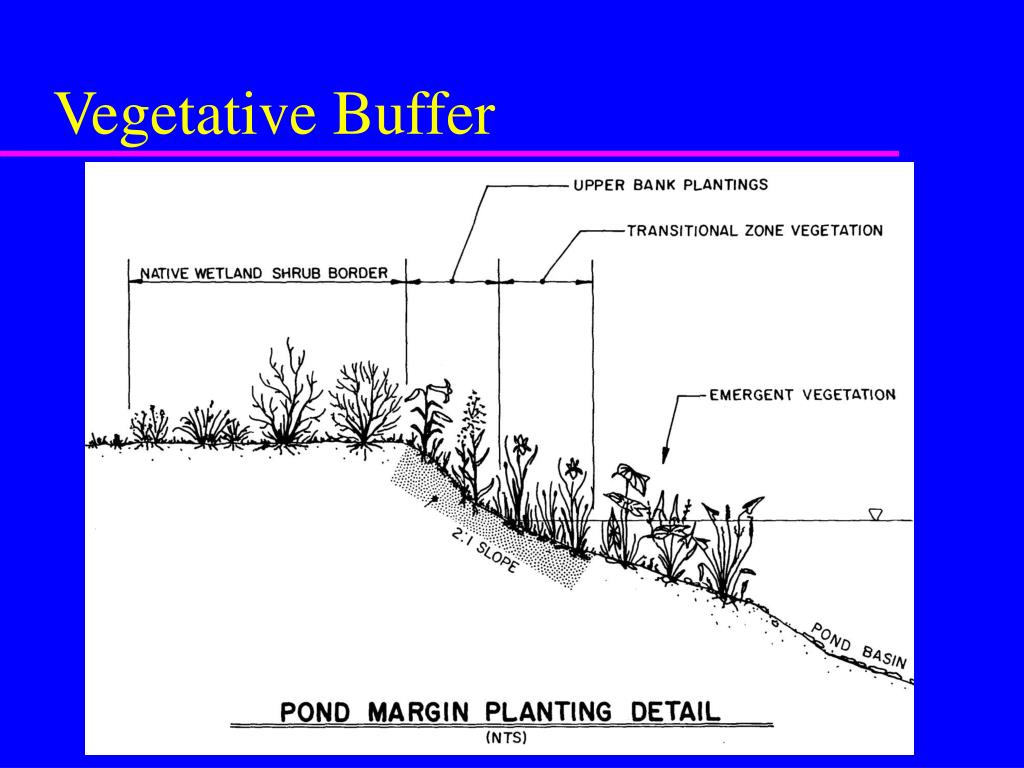 PPT Truesdale Lake Lake Management Plan PowerPoint Presentation, free download ID7090281