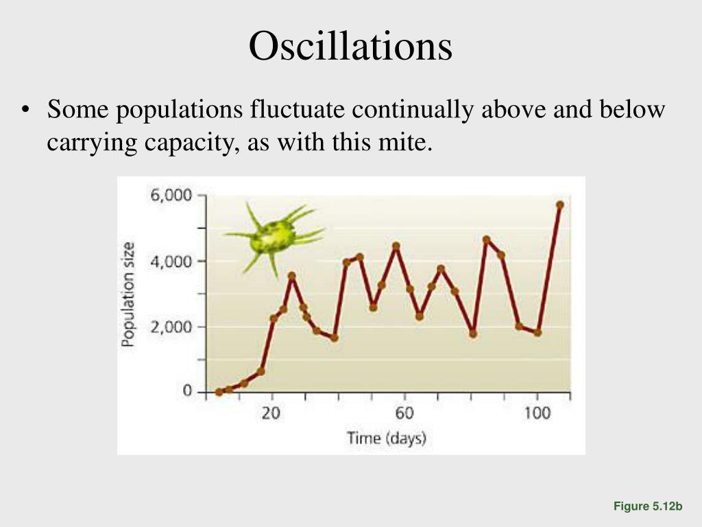 PPT Introduction to Evolutionary Ecology (Part I Week 4) PowerPoint Presentation ID7092213