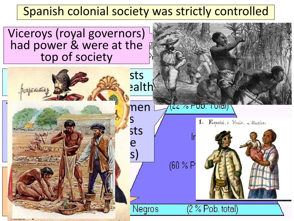 PPT Essential Question PowerPoint Presentation, free download ID