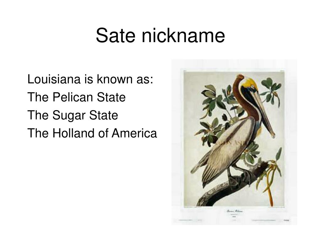 PPT Louisiana PowerPoint Presentation, free download ID7097261