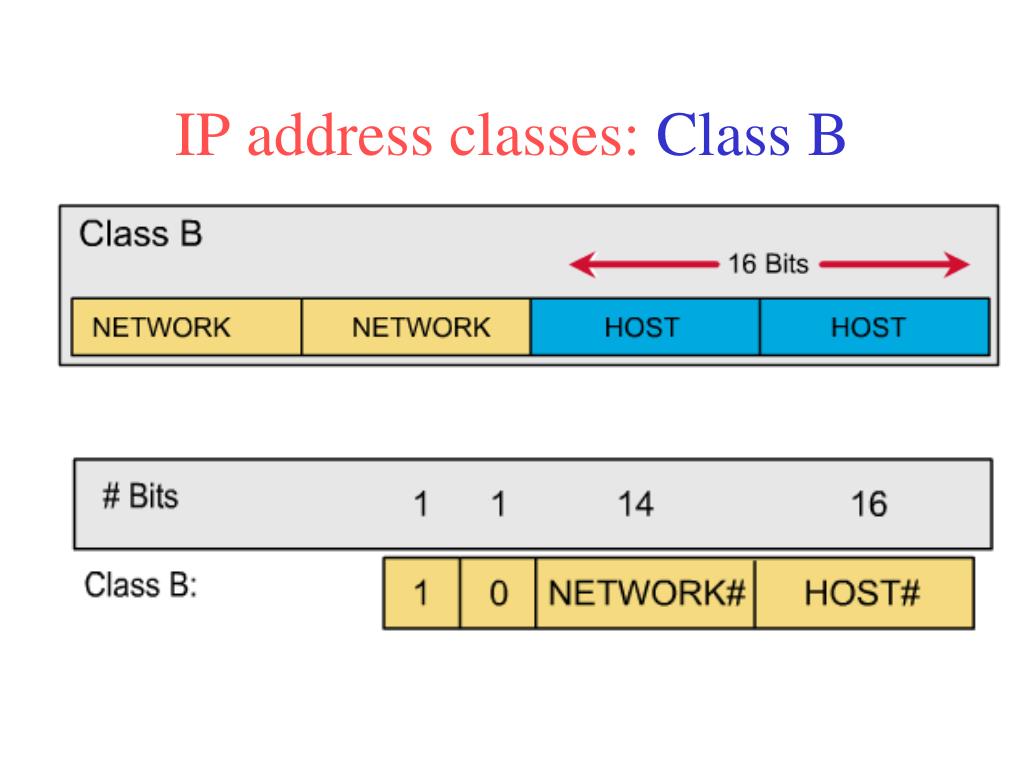 PPT IP address PowerPoint Presentation, free download ID7100910