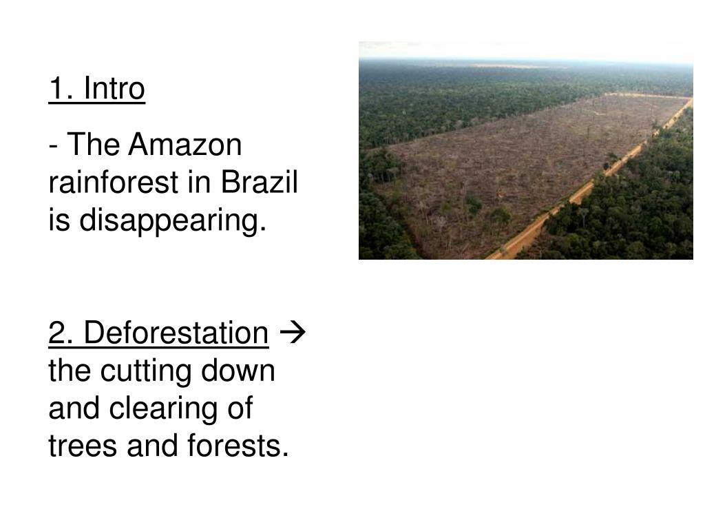 PPT 1. Objective (READ) SWBAT explain why the Amazon rainforest is