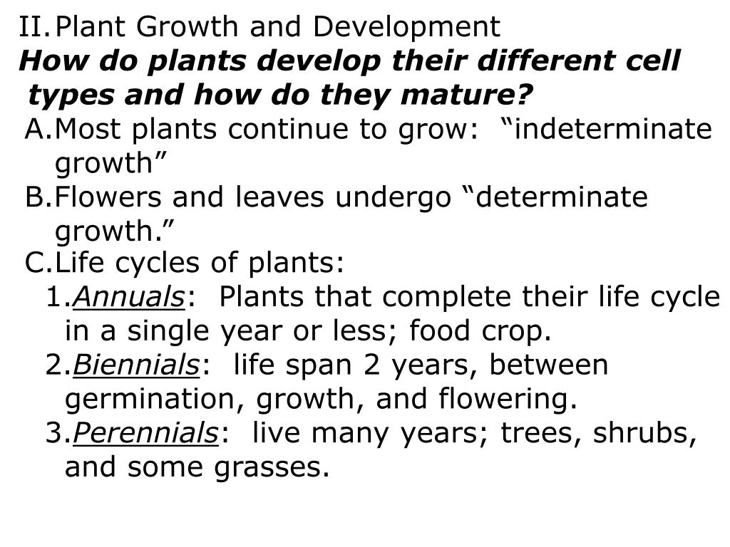 PPT Ch. 35 Plant Structure and Growth PowerPoint Presentation, free