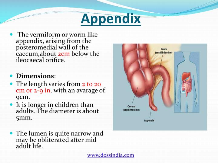 Ppt Doss India Appendix Surgery Treatment In Pune Maharashtr