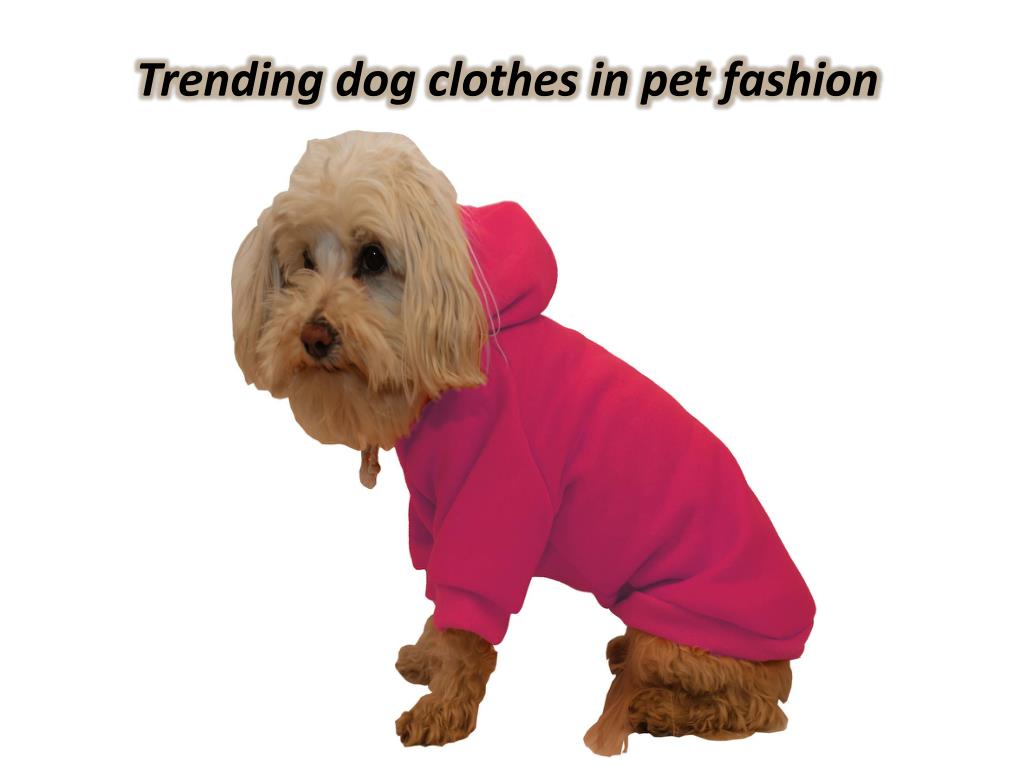 PPT Trending dog clothes in pet fashion PowerPoint Presentation, free