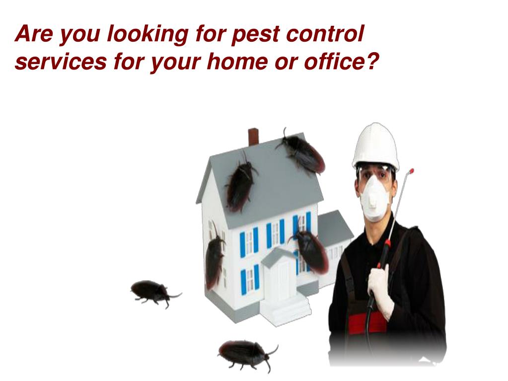 PPT Various Types Of Pest Control Methods PowerPoint Presentation, free download ID7116255