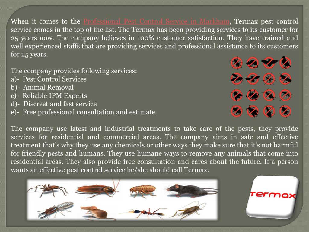 PPT Professional Pest Control Service in Markham PowerPoint