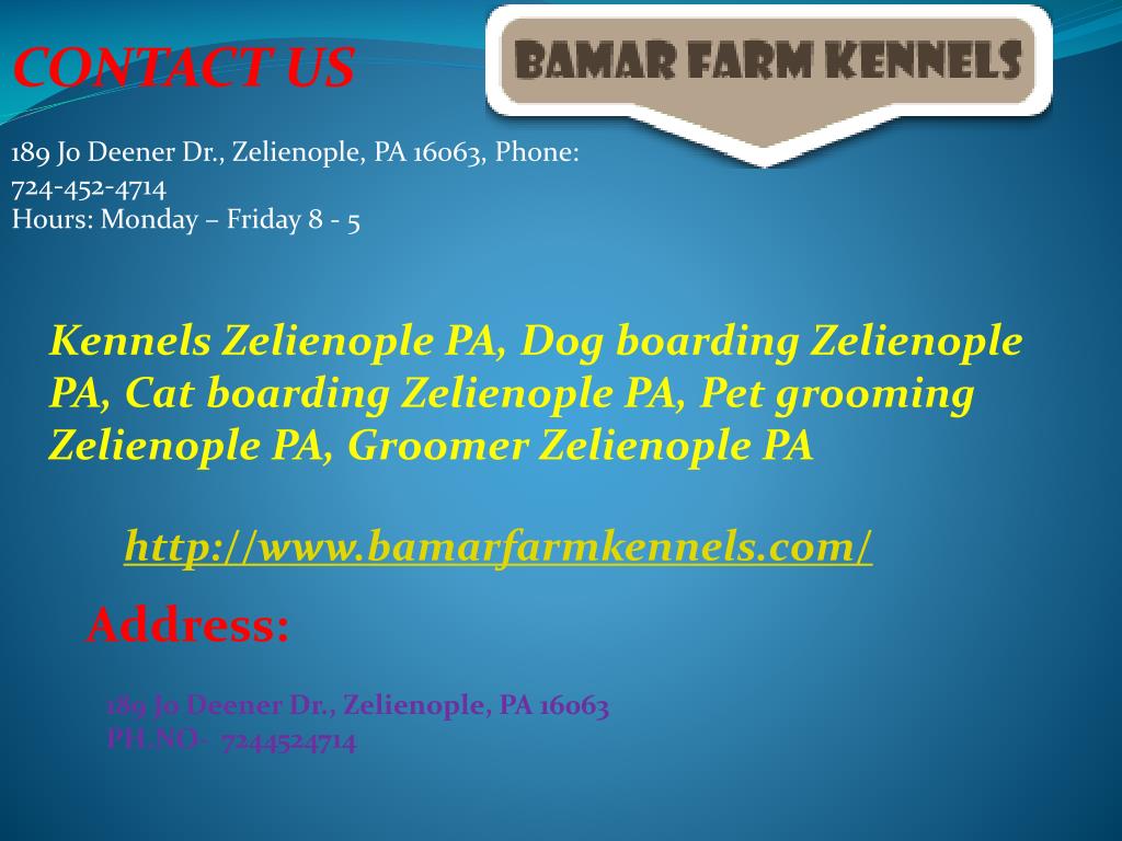 PPT Kennels, Dog, Cat Boarding and Pet Grooming Zelienople PA