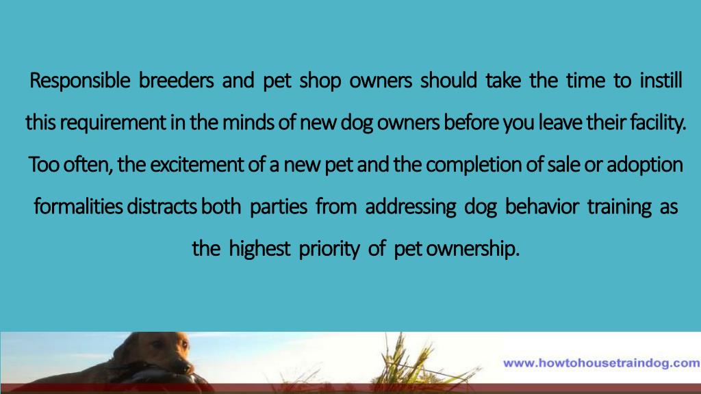 PPT Dog Behavior Training For Your New Pet PowerPoint Presentation